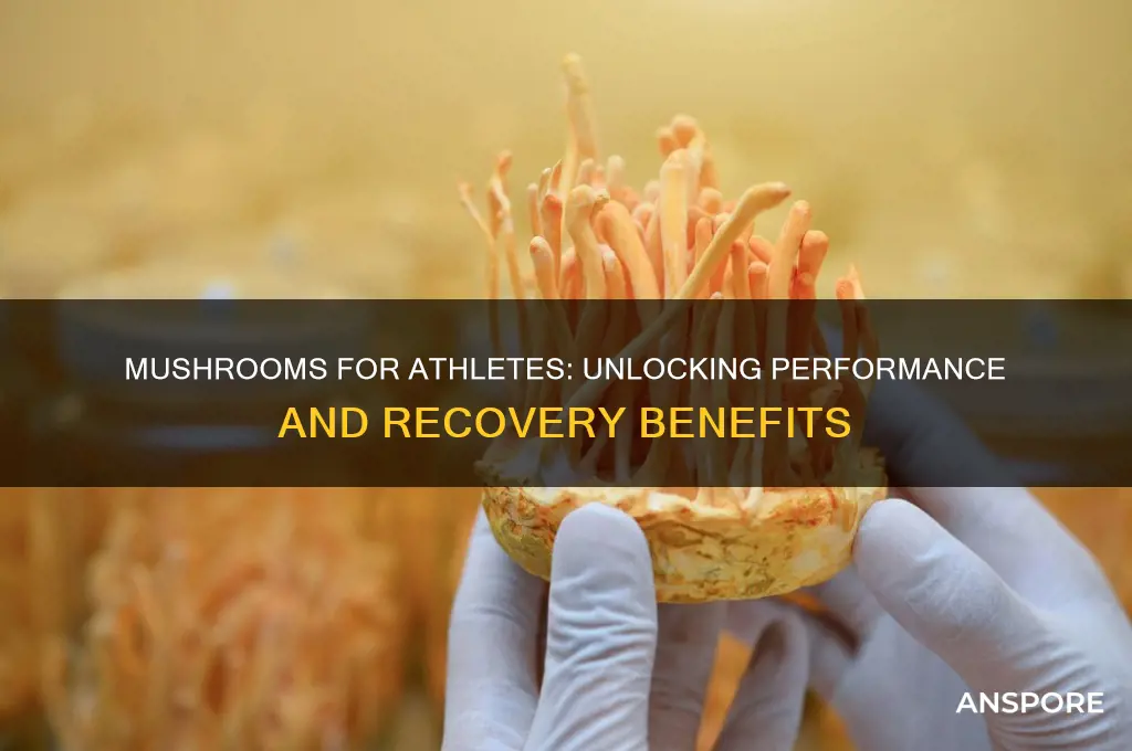 are mushrooms good for athletes
