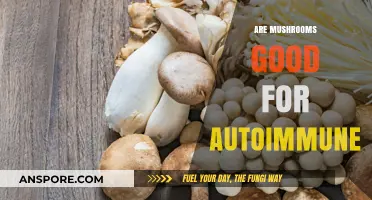 Mushrooms and Autoimmune Health: Unlocking Nature's Healing Potential