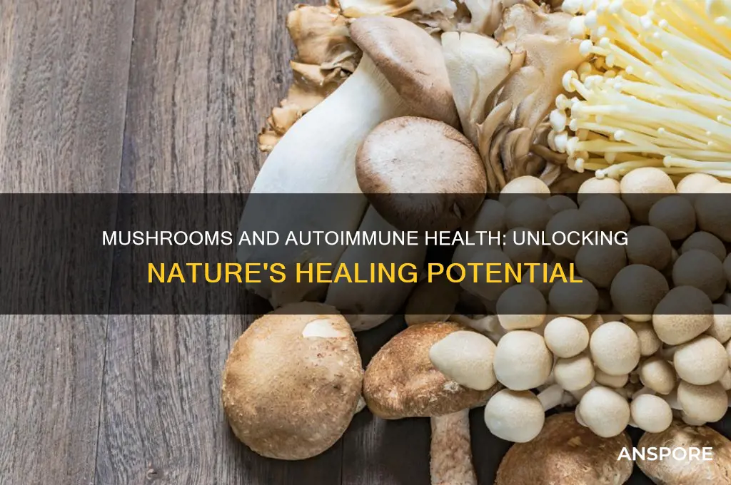 are mushrooms good for autoimmune