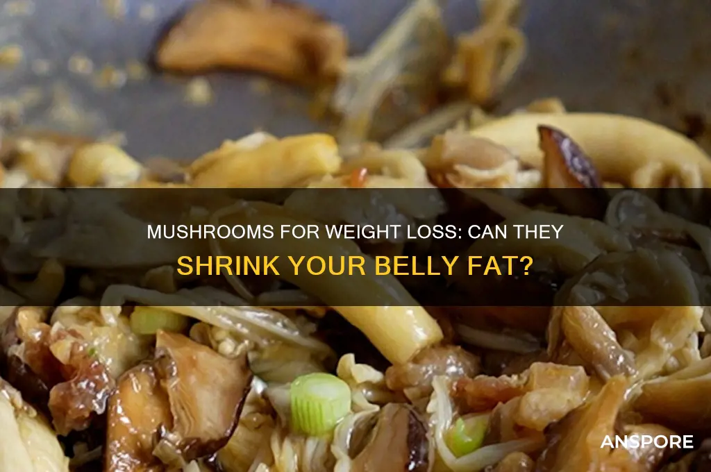 are mushrooms good for belly loss