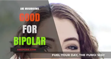 Mushrooms and Bipolar Disorder: Exploring Potential Benefits and Risks