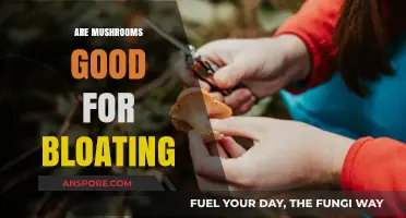 Mushrooms and Bloating: Natural Relief or Myth? Discover the Truth