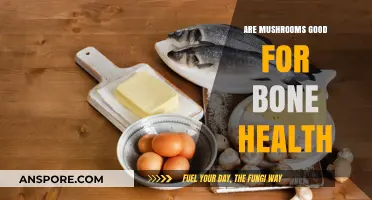 Mushrooms and Bone Health: Unlocking Nature's Benefits for Stronger Bones