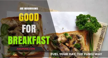 Mushrooms for Breakfast: Healthy, Delicious, and Nutrient-Packed Morning Boost