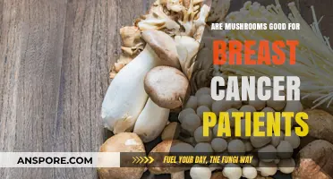 Mushrooms and Breast Cancer: Unlocking Potential Health Benefits for Patients