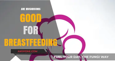 Mushrooms and Breastfeeding: Benefits, Safety, and Nutritional Value Explained