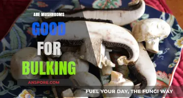 Mushrooms for Bulking: Nutritional Benefits and Muscle-Building Potential