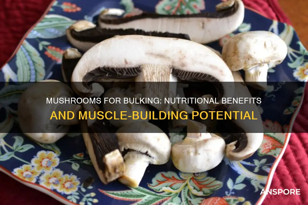 are mushrooms good for bulking