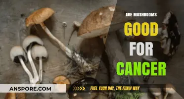 Mushrooms and Cancer: Unveiling Their Potential Health Benefits