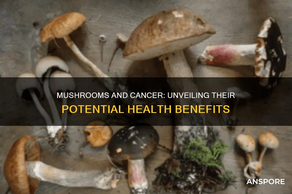 are mushrooms good for cancer
