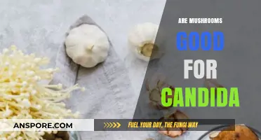 Mushrooms and Candida: Unveiling Their Role in Gut Health Balance