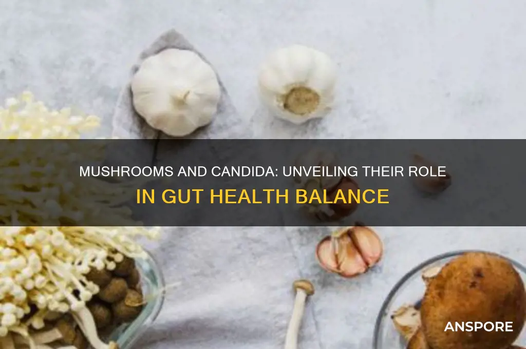 are mushrooms good for candida