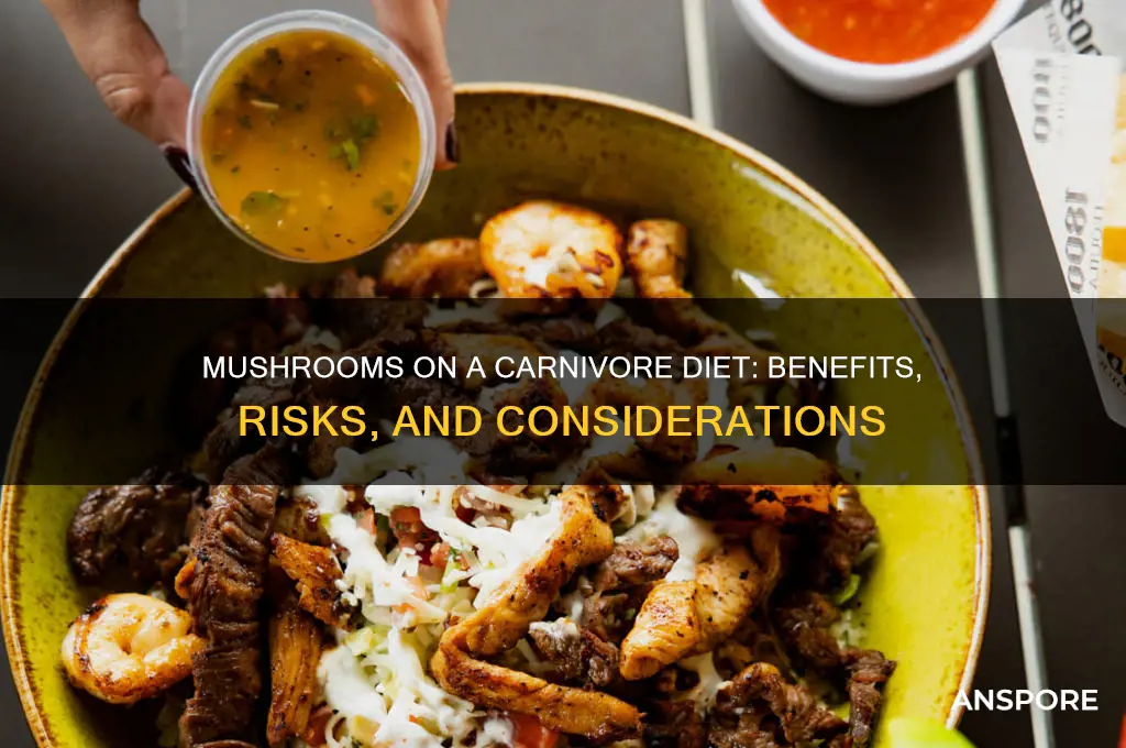 are mushrooms good for carnivore diet