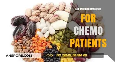 Mushrooms and Chemotherapy: Exploring Potential Benefits for Cancer Patients