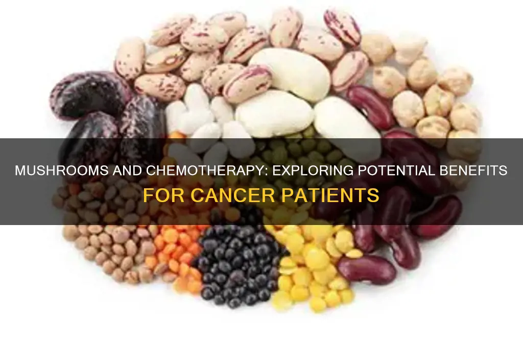 are mushrooms good for chemo patients