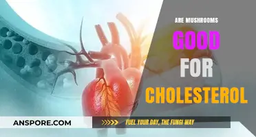Mushrooms and Cholesterol: Unveiling Their Heart-Healthy Benefits and Impact