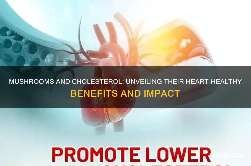 are mushrooms good for cholesterol