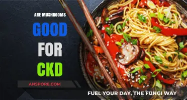 Mushrooms and CKD: Unveiling Their Potential Benefits for Kidney Health