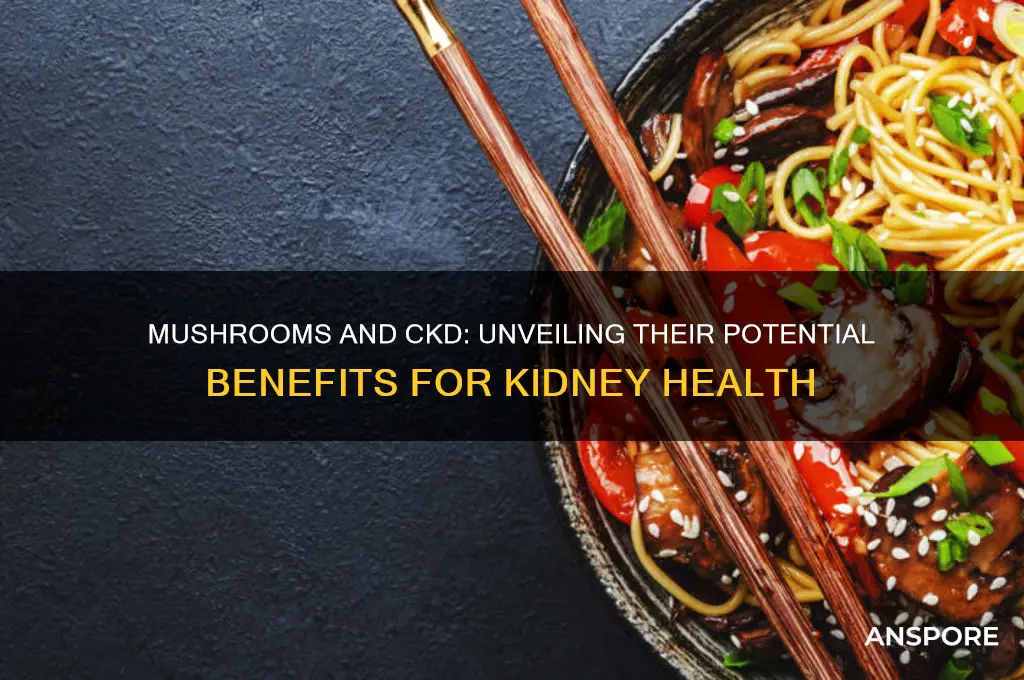 are mushrooms good for ckd