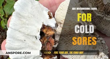 Mushrooms and Cold Sores: Natural Remedies to Heal Faster