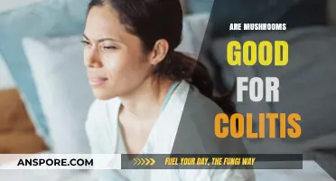 Mushrooms and Colitis: Exploring Their Potential Benefits for Gut Health