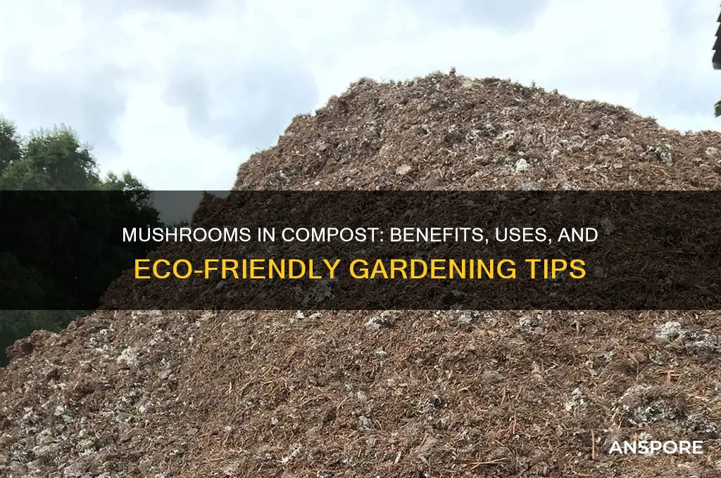 are mushrooms good for compost
