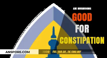 Mushrooms for Constipation Relief: Natural Benefits and Effective Remedies