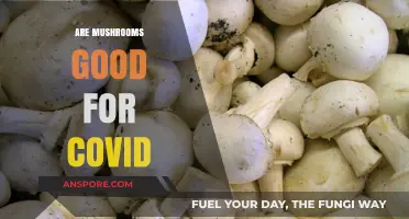Mushrooms and COVID-19: Unveiling Their Potential Health Benefits