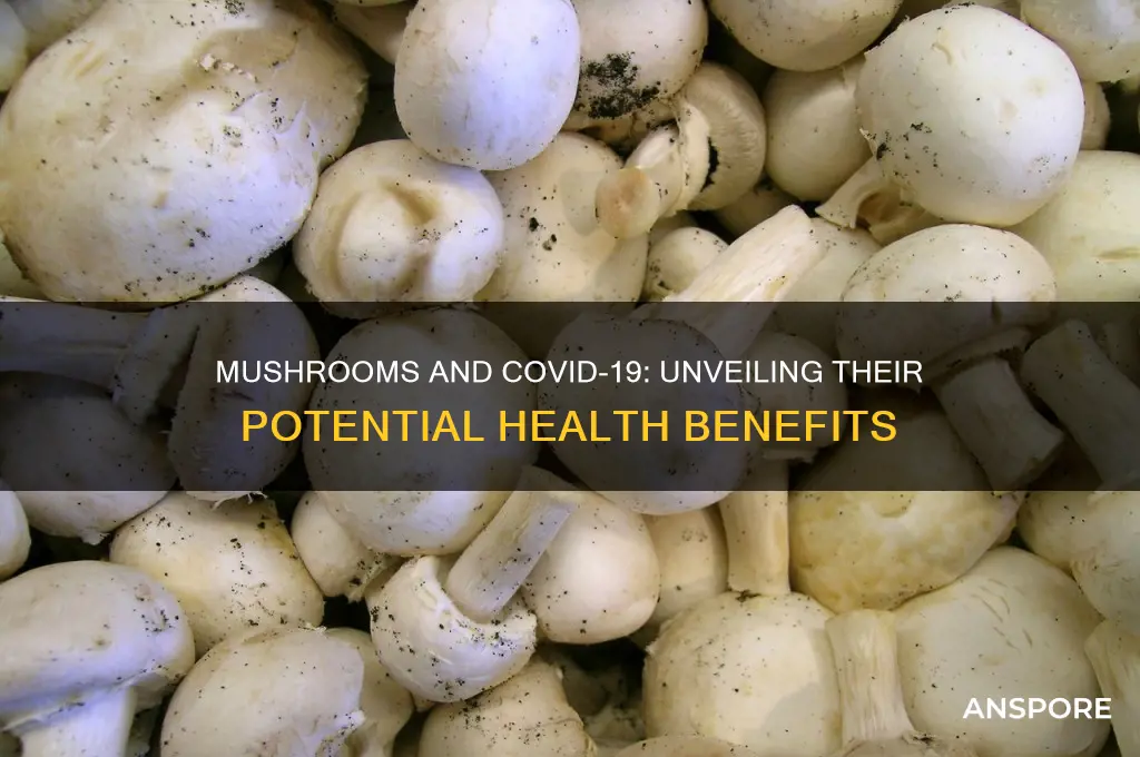 are mushrooms good for covid