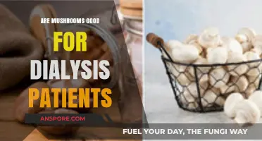 Mushrooms and Dialysis: Nutritional Benefits and Safety for Kidney Patients