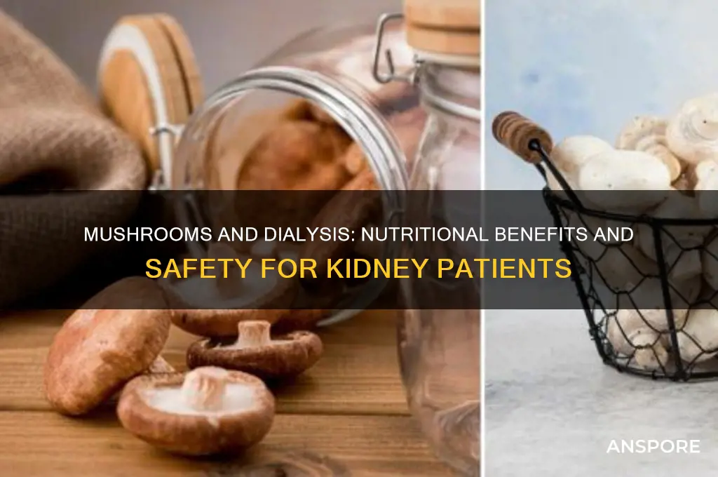 are mushrooms good for dialysis patients