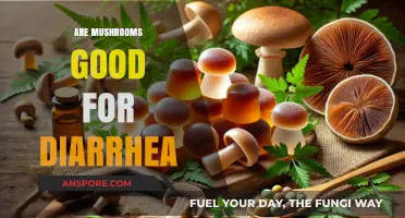 Mushrooms for Diarrhea Relief: Benefits, Risks, and Best Types