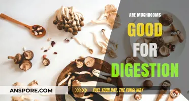 Boost Your Gut Health: Are Mushrooms the Digestive Superfood?