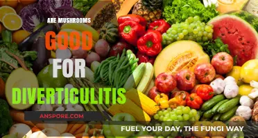 Mushrooms and Diverticulitis: Benefits, Risks, and Dietary Considerations