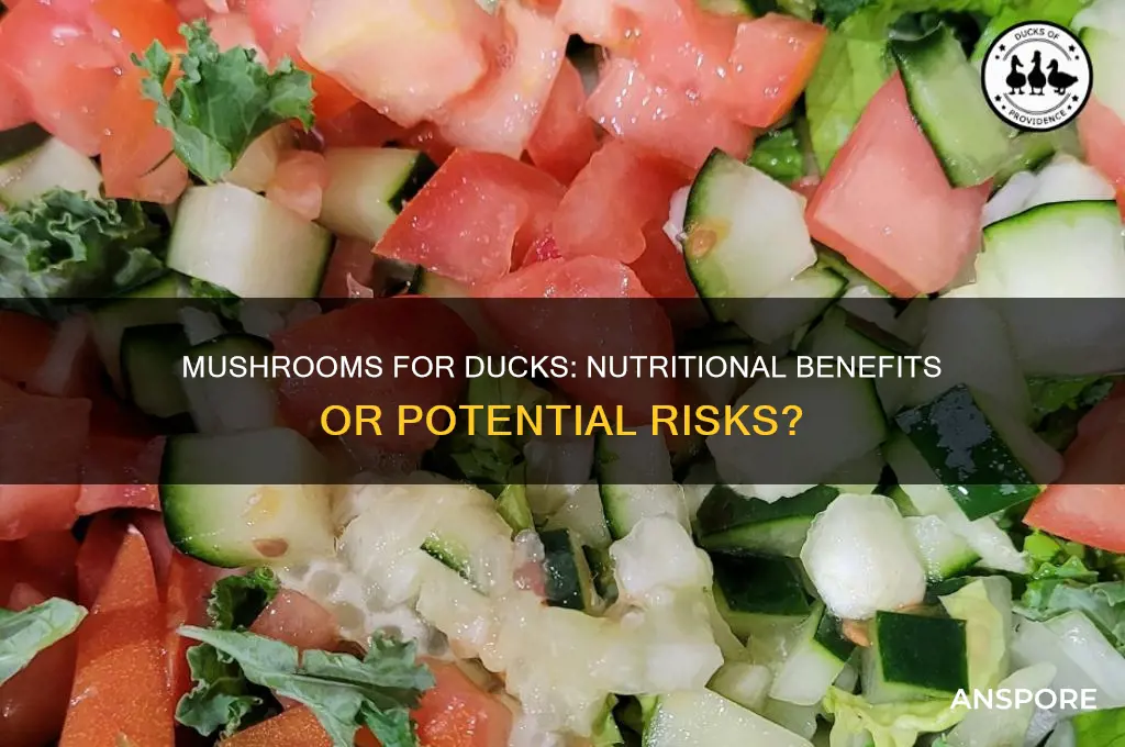 are mushrooms good for ducks