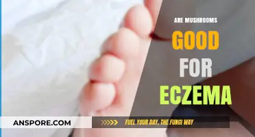 Mushrooms and Eczema: Unveiling Their Potential Skin-Soothing Benefits