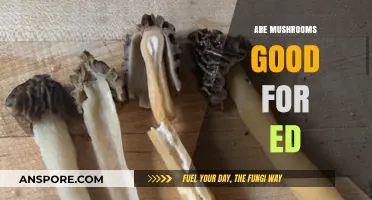 Mushrooms and ED: Unveiling Nature's Potential for Sexual Health