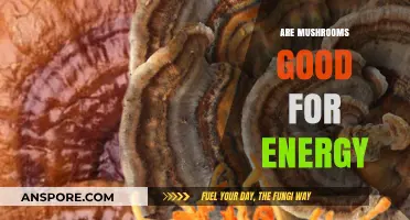 Boost Your Energy Naturally: The Surprising Power of Mushrooms