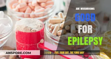 Mushrooms and Epilepsy: Exploring Potential Benefits and Risks