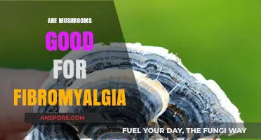 Mushrooms and Fibromyalgia: Exploring Potential Benefits and Relief Options