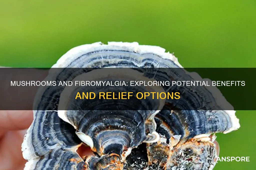 are mushrooms good for fibromyalgia