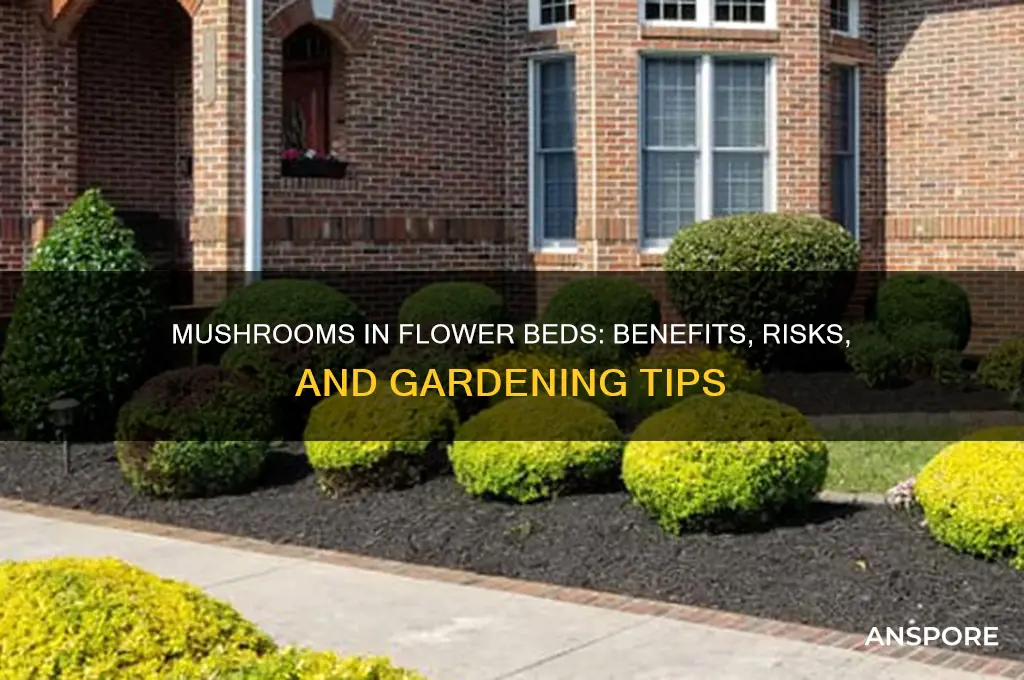 are mushrooms good for flower beds