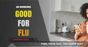 Mushrooms and Flu: Unveiling Their Immune-Boosting Potential for Recovery
