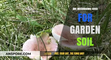 Mushrooms in Garden Soil: Benefits, Uses, and Growth Tips