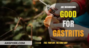 Mushrooms and Gastritis: Benefits, Risks, and Dietary Considerations Explained