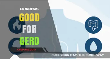 Mushrooms and GERD: Unveiling Their Impact on Acid Reflux Relief