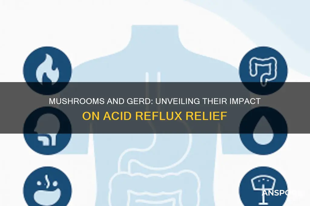 are mushrooms good for gerd