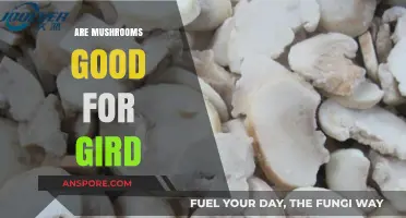 Mushrooms and Gut Health: Unlocking Benefits for a Stronger Gut