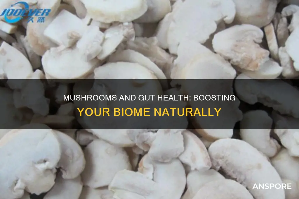 are mushrooms good for gut biome