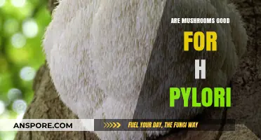Mushrooms and H. Pylori: Natural Benefits or Just a Myth?